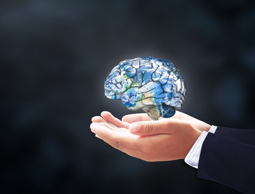 What kind of cognition issues are likely in newborns who have suffered brain damage?