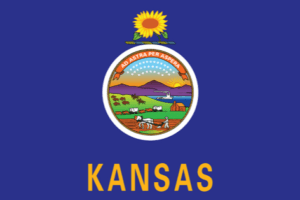 Kansas Cerebral Palsy Lawyers | Birth Injury Lawyers Group Kansas Cerebral Palsy Lawyer