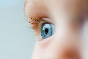 How Many Cases of Retinopathy of Prematurity Lead to Total Vision Loss?