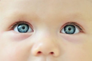 front view of infant’s eyes