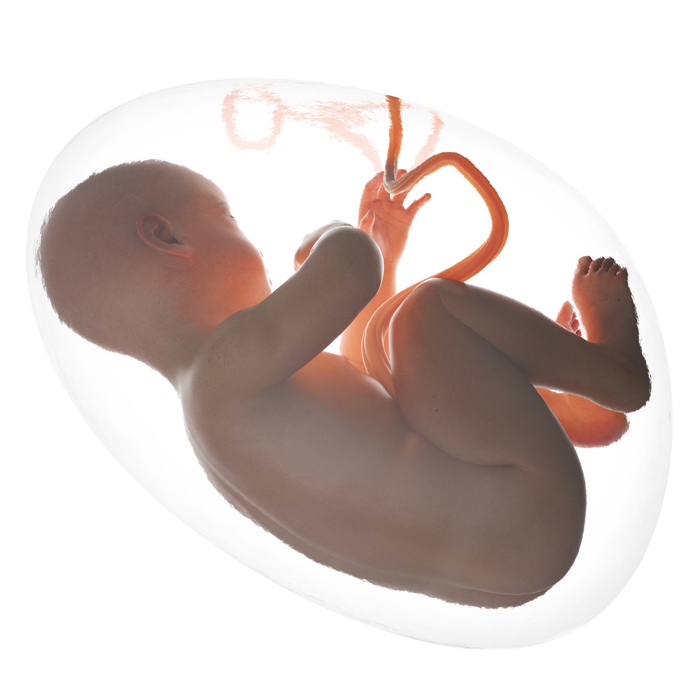 What Damages Can I Collect for an Umbilical Cord Birth Injury Lawsuit?